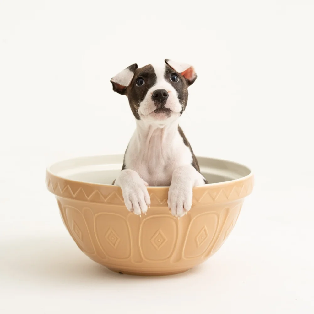 Rome_q (čtverec malý)