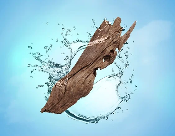 115354 vune more a dreva