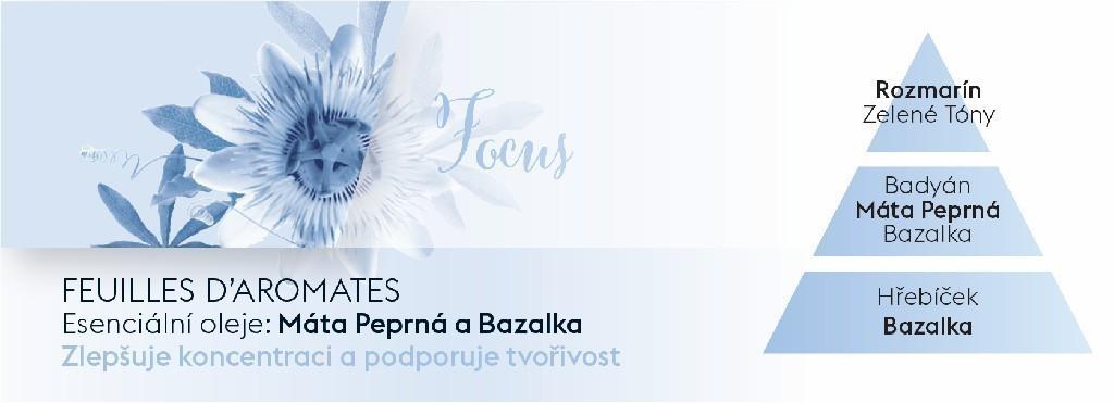 Náplň do katalytické lampy Aroma Focus – Aromatické listí, 500 ml