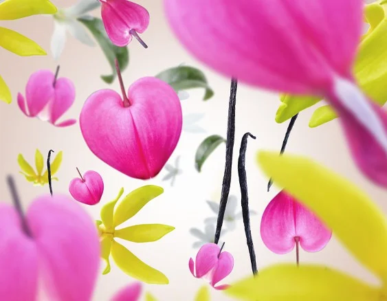 115092 aroma love gurmanske kvety