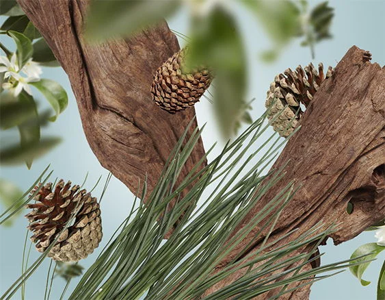 pod_vanocnim_stromem_dotextu