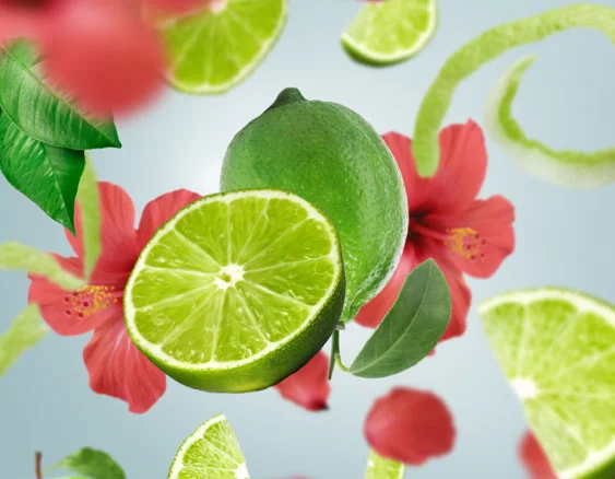 115163 tahitska limetka