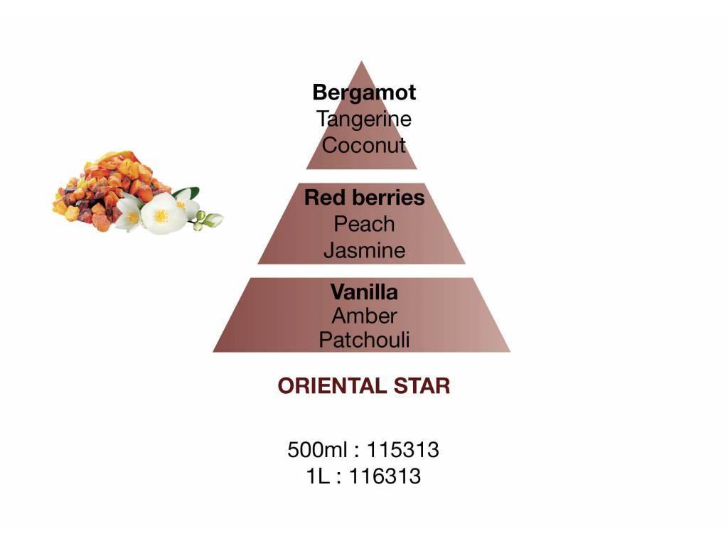 Keramická náplň vůně do auta Kouzlo Orientu, 2 ks