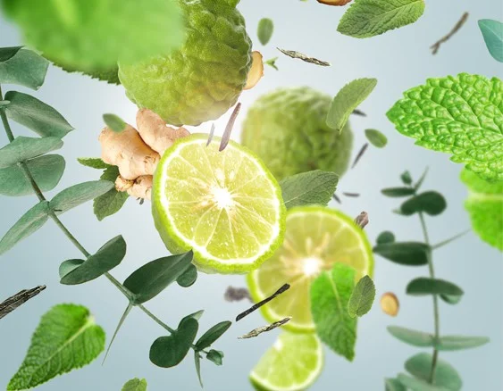 aroma travel-aromaticka zahrada