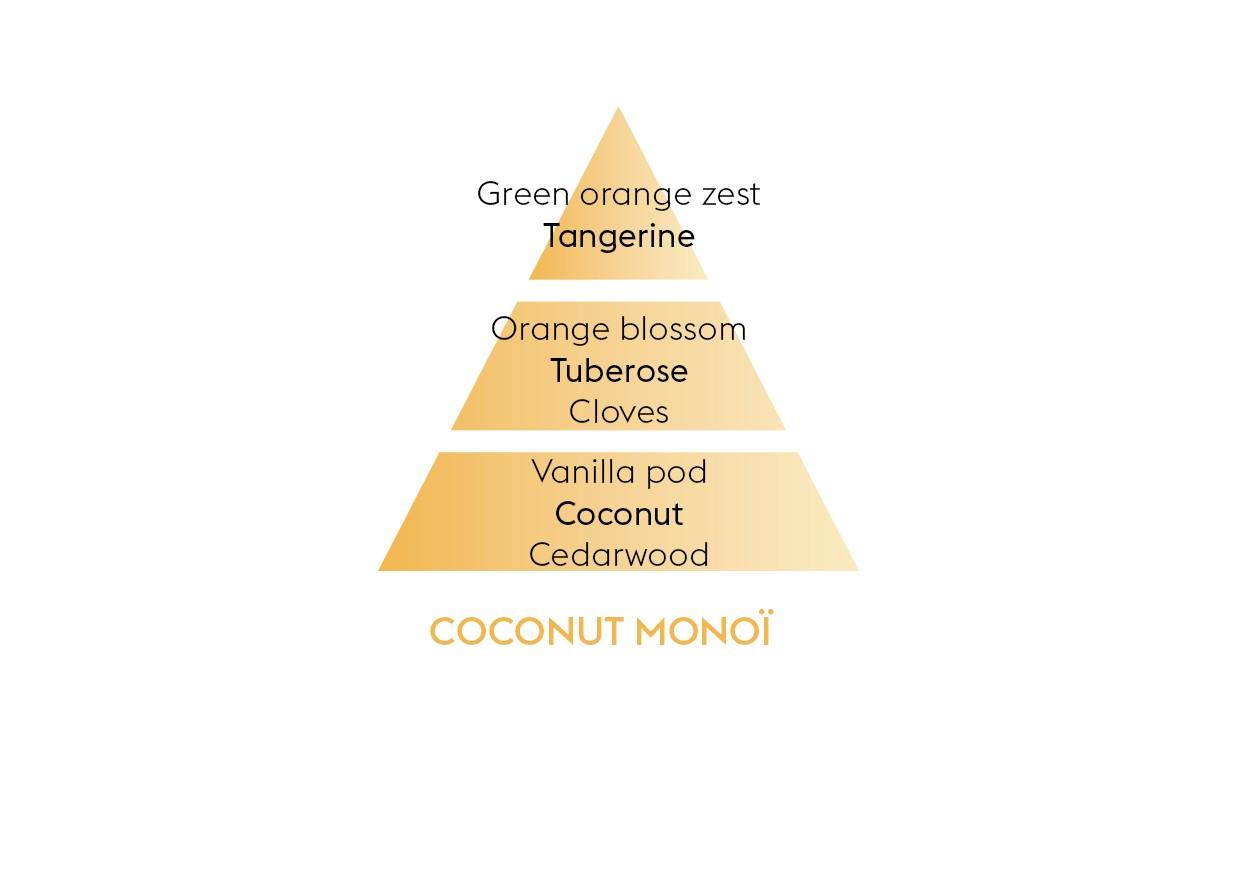 Vůně do auta Coco Monoï