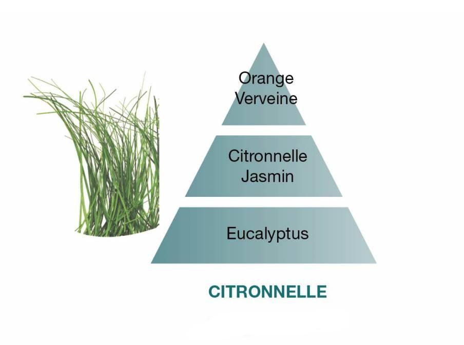 Náplň do Difuzéru Citronella, 200 ml