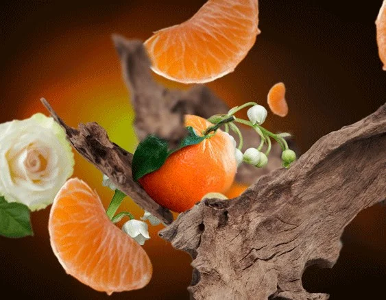 115349 okouzlujici santalove drevo