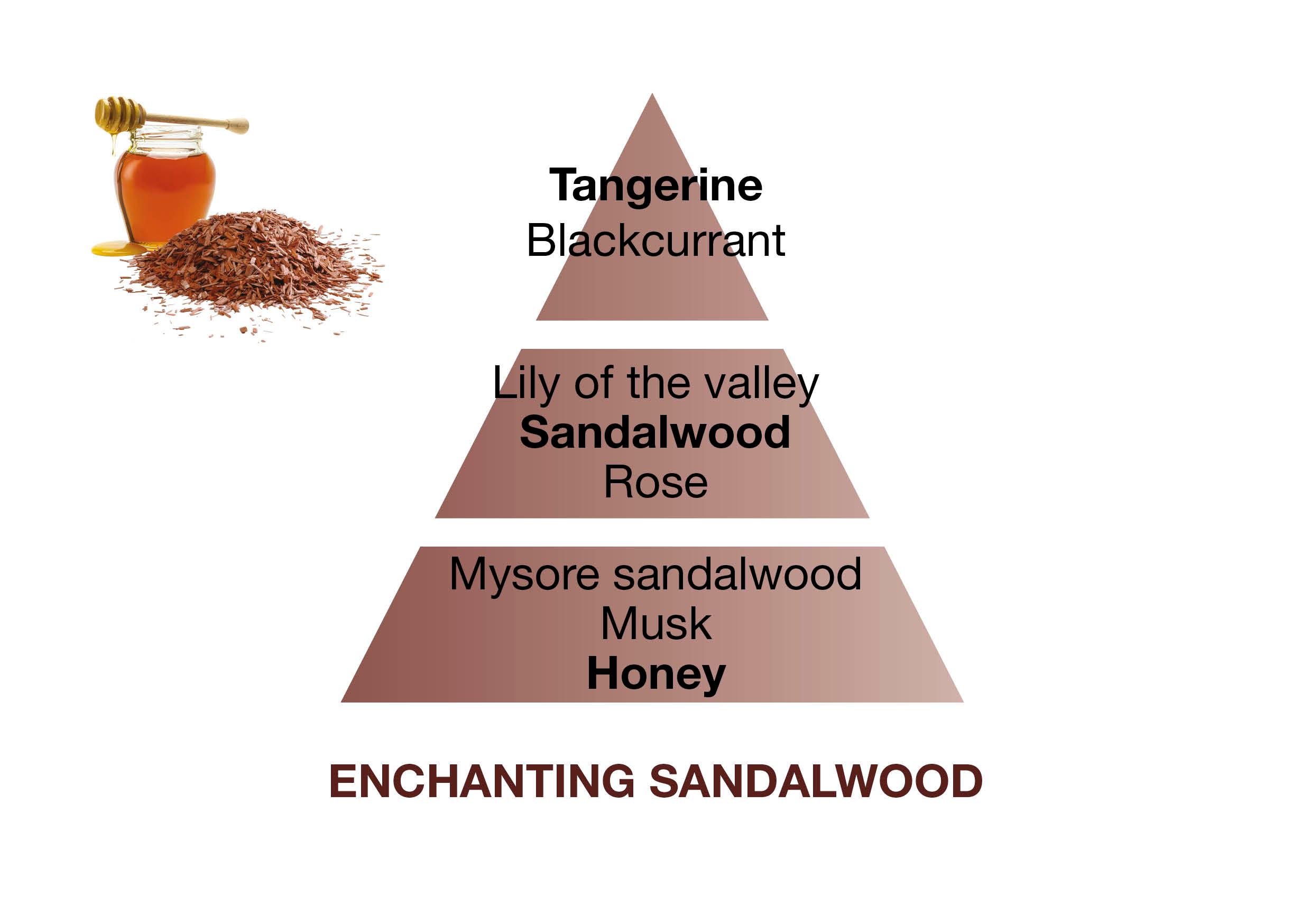 Náplň do katalytické lampy Okouzlující santalové dřevo, 500 ml