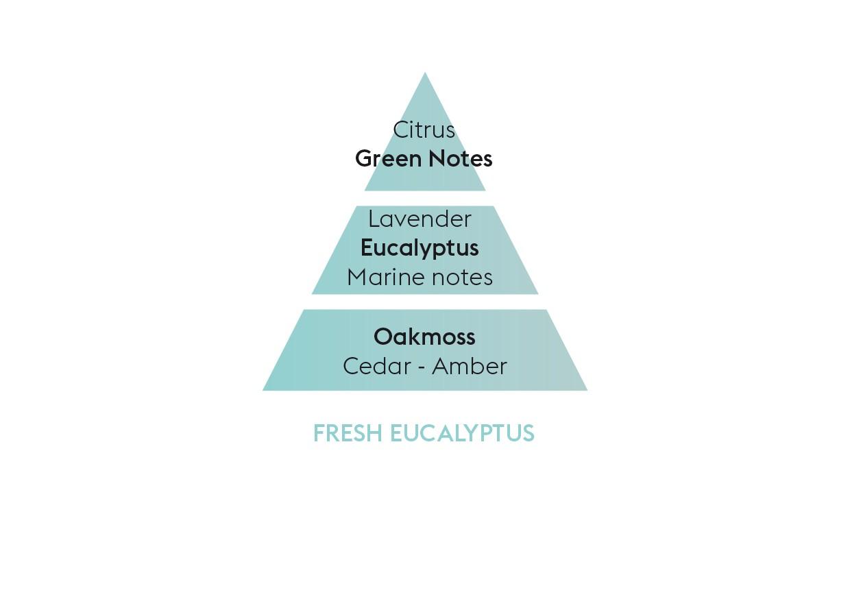 Náplň do katalytické lampy Čerstvý eukalyptus, 500 ml