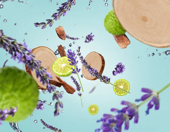 cerstve-drevo-maison-berger-paris-image