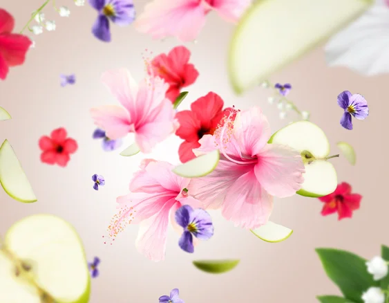 115080 zamilovany ibisek