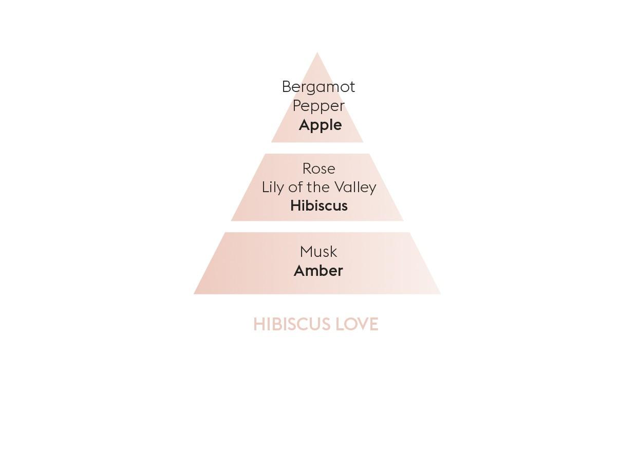 Náplň do katalytické lampy Zamilovaný Ibišek, 500 ml