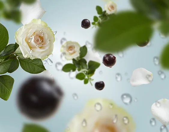 115033_vune_oceanu_dotextu