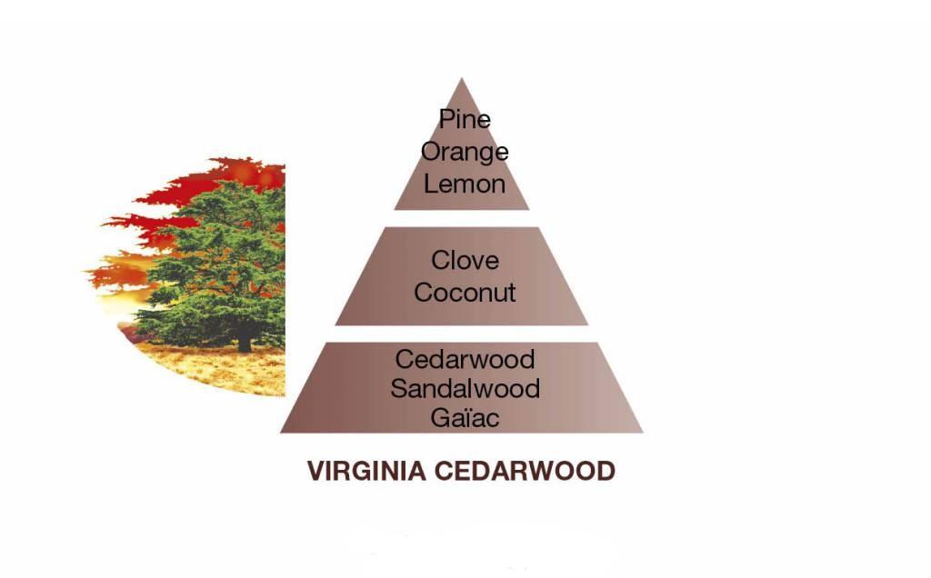 Náplň do Difuzéru Libanonský cedr, 200 ml