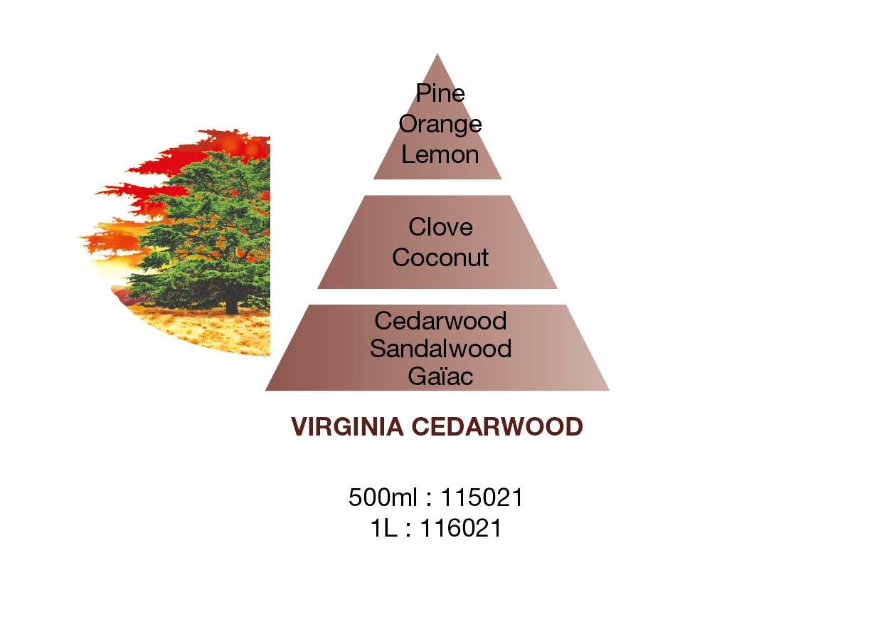 Náplň do katalytické lampy Libanonský cedr, 500 ml