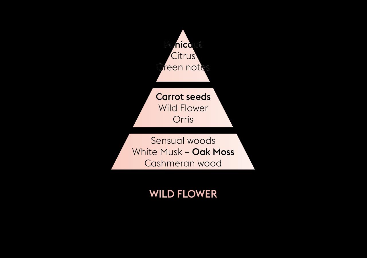 Náplň do Difuzéru Divoký bodlák, 200 ml