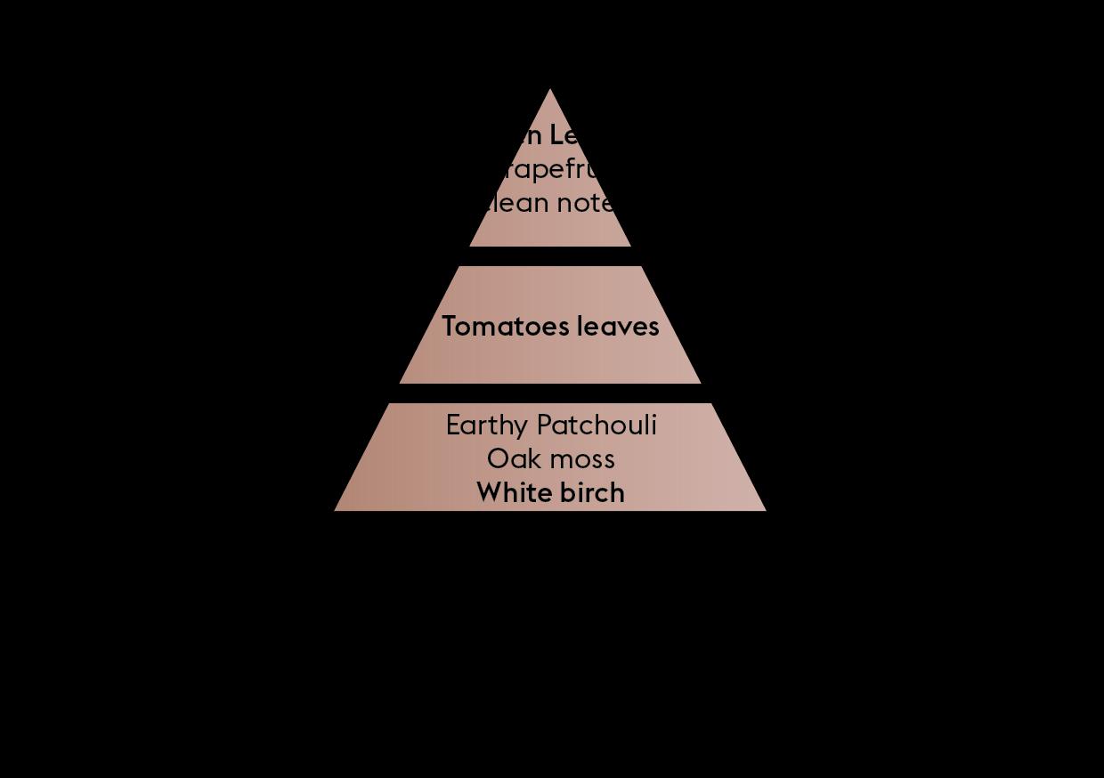 Náplň do katalytické lampy Divočina, 500 ml