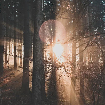 09-cereria-molla-aroma-copia