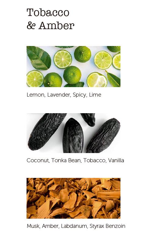 Vonná svíčka Tobacco & Amber, 230 g, white & gold