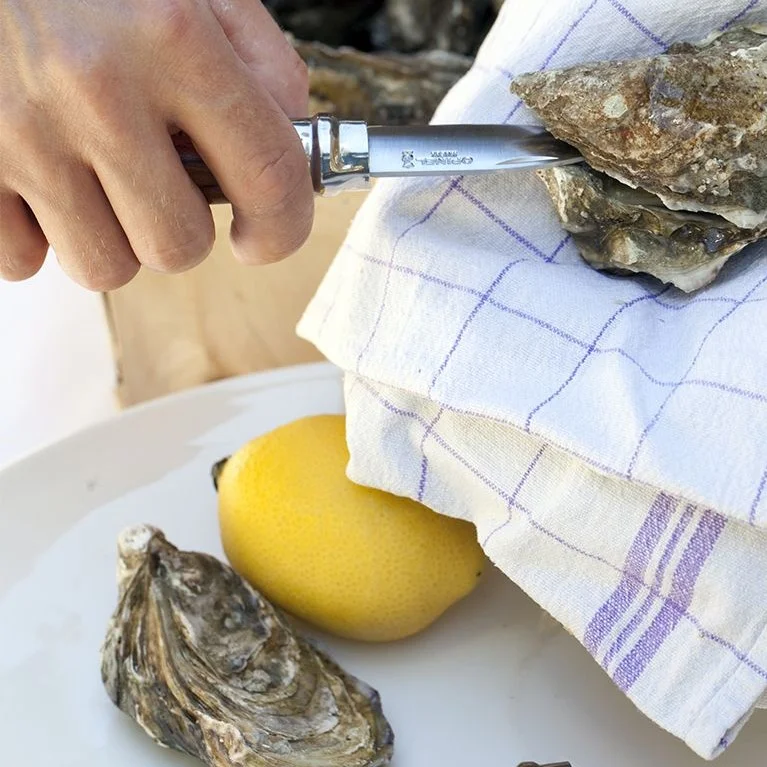 nuz_na-ustrice_Opinel_quadro