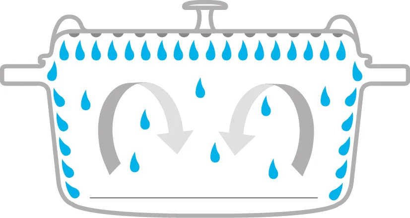 staub_aroma_rain_cocotte-content