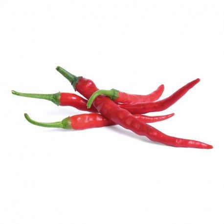 Lingot s BIO semeny Cayenne chili papriček pro chytré květináče 