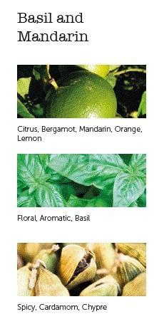 Vonné tyčinky Basil & Mandarin, 20 ks