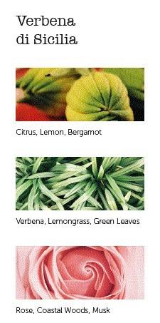 Vonné tyčinky Verbena di Sicilia, 20 ks