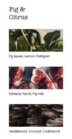 Vonné tyčinky Fig & Citrus, 20 ks