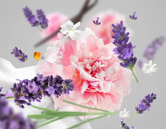 budanderie kvetinovo pudrova dotextu