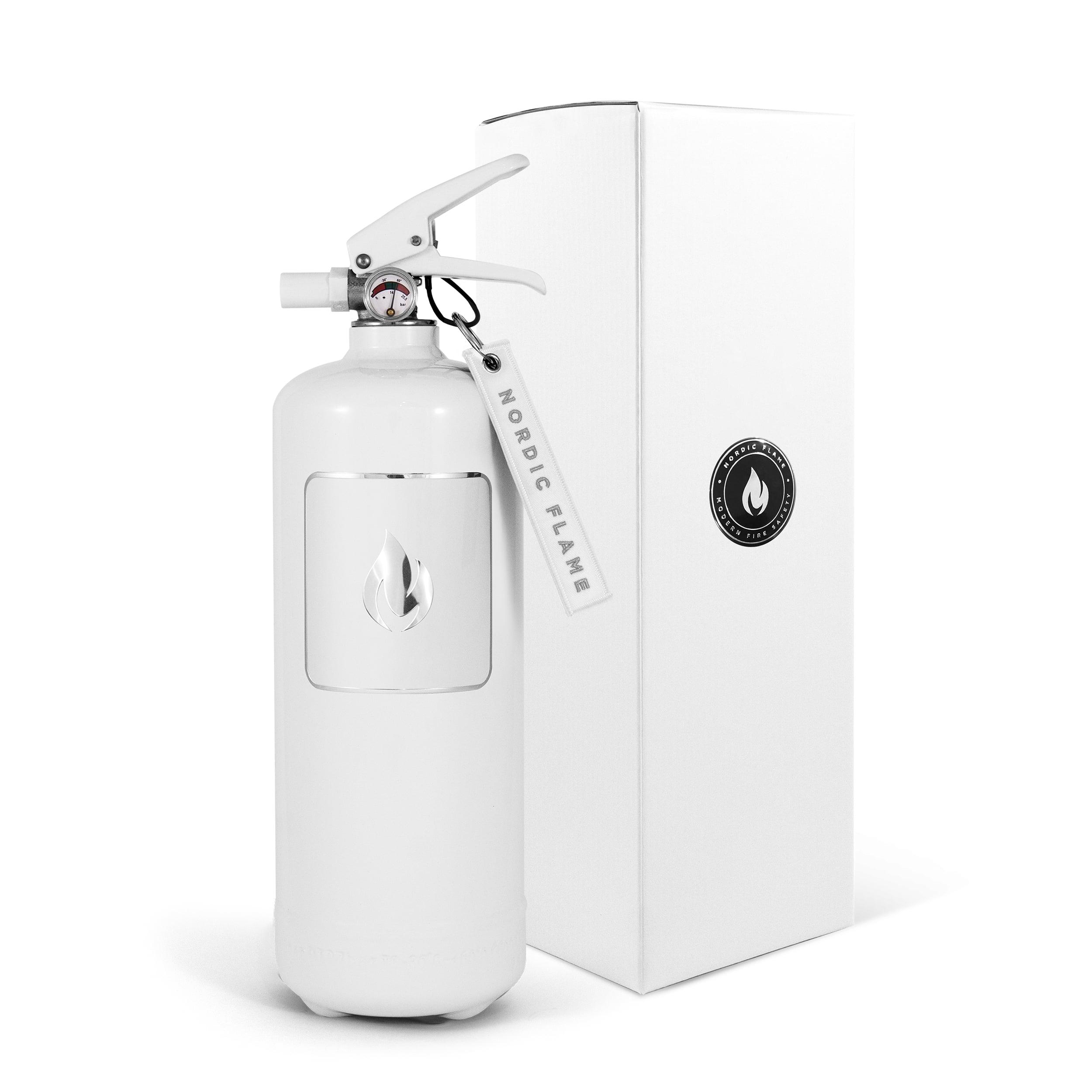 Hasicí přístroj, práškový, 2 kg, bílá