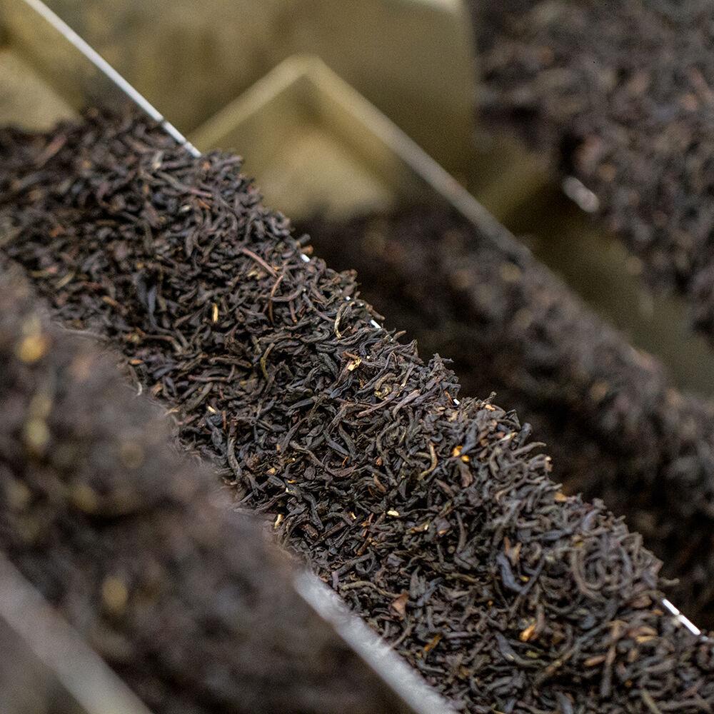 Zelený čaj Darjeeling Bio N°37