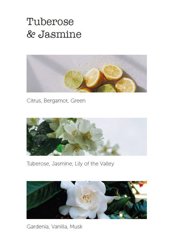 Vůně do auta Tuberose & Jasmine, krémová