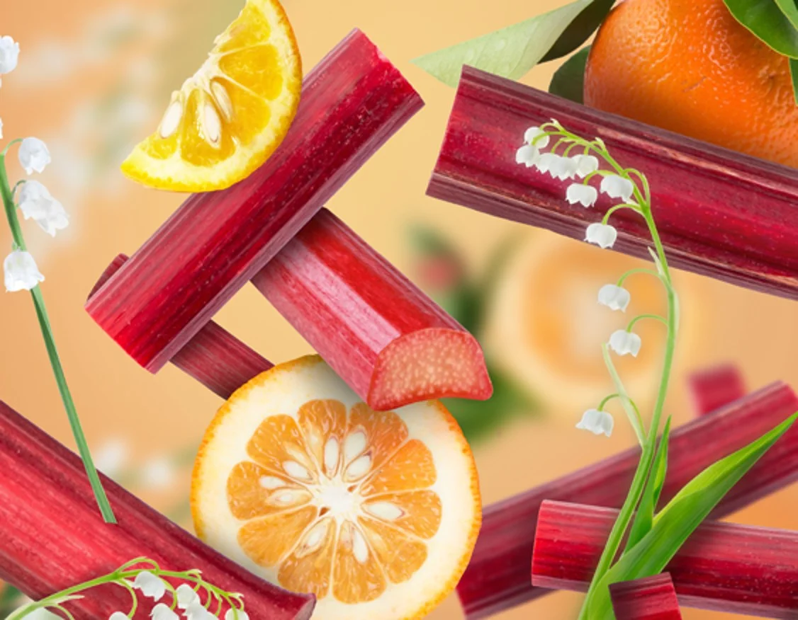 MBP-zariva-rebarbora-dotextu