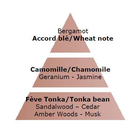 Aroma difuzér Cube + náplň Zlatavá pšenice 100 ml