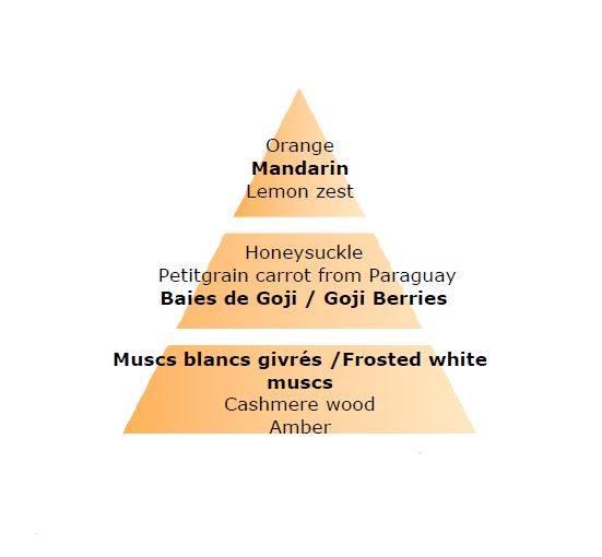 Náplň do difuzéru Bobule goji, 200 ml