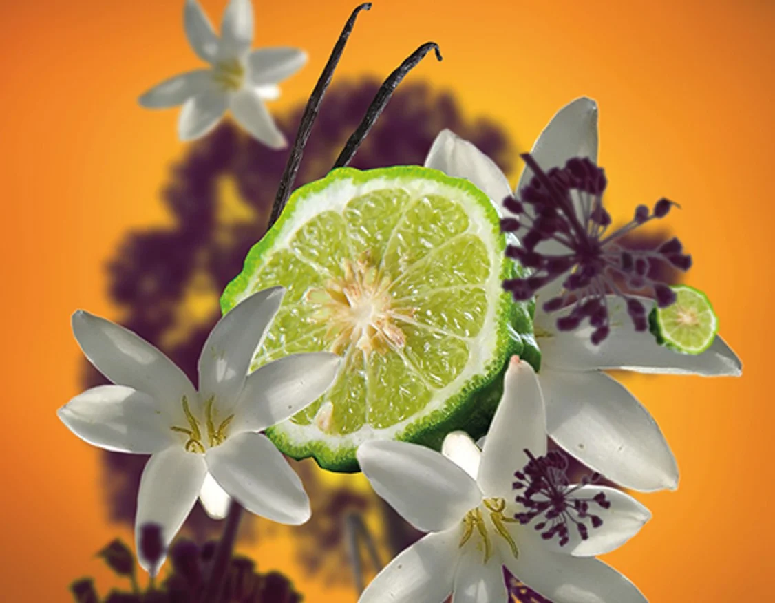 mbp-cerna-angelika_dotextu