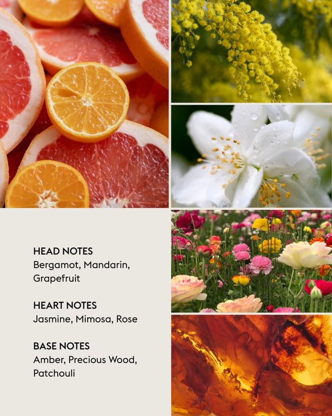 Náplň do difuzéru Lady Flower, 200 ml