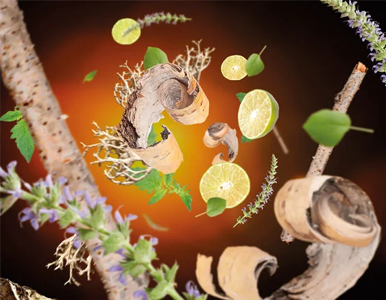 mbp-divocina-dotextu