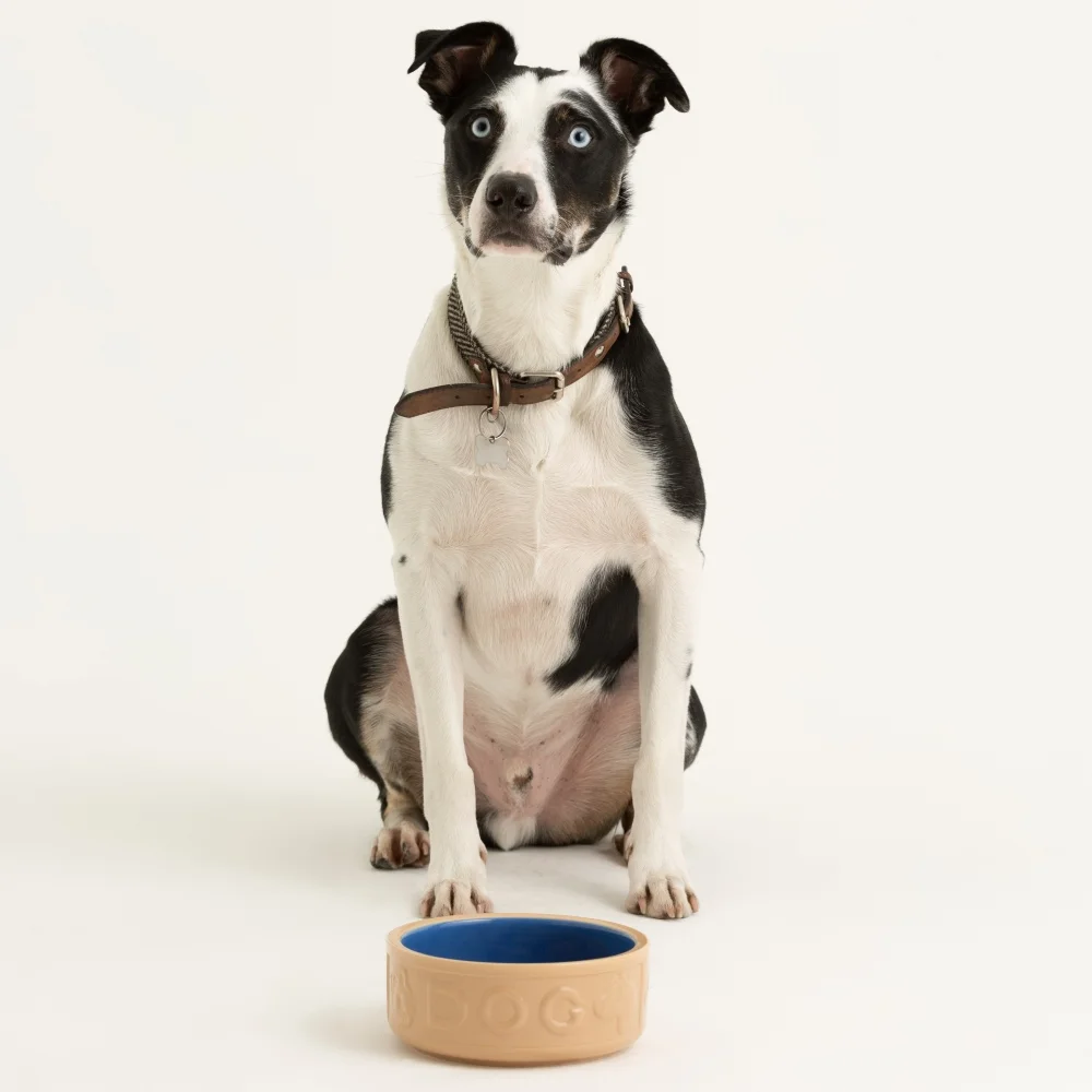 Miska pro psa Original cane & Blue, objem 1.2 l, průměr 18 cm