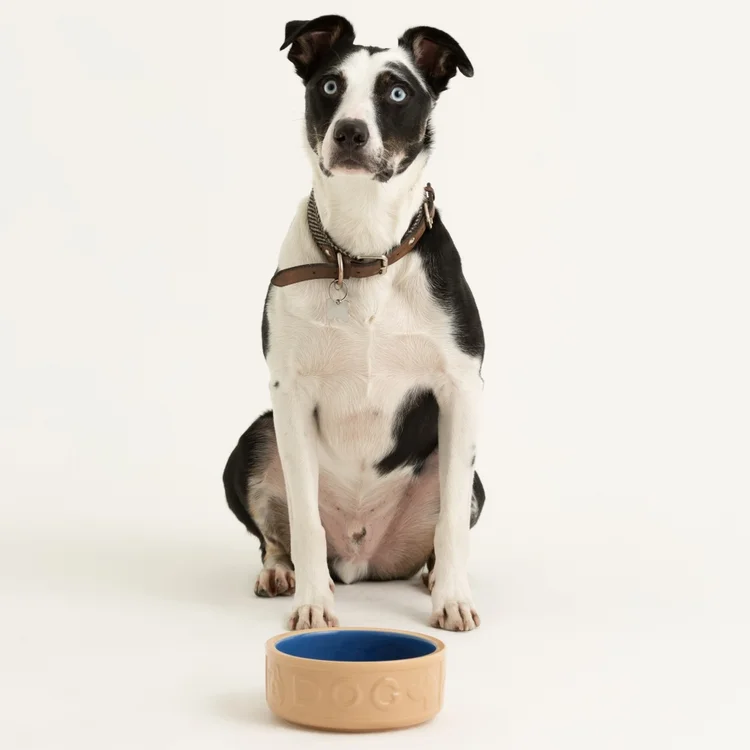 Miska pro psa Original cane & Blue, objem 1.2 l, průměr 18 cm
