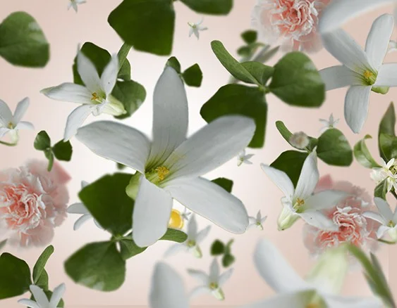 Mason Berger Paris interierová vůně vzácný jasmín