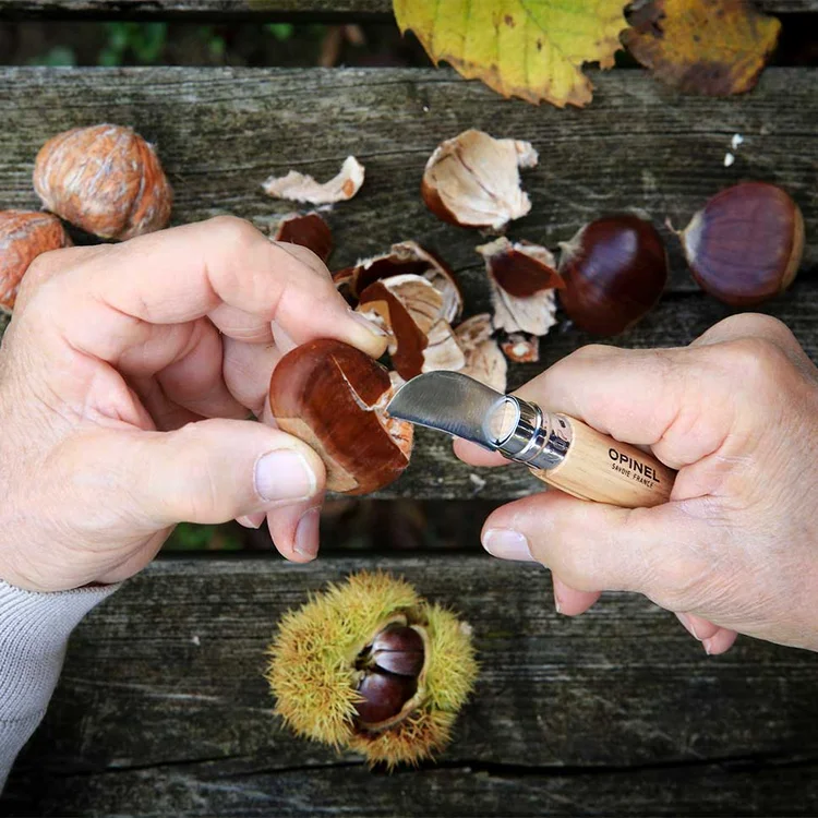 Speciální nožík Opinel na kaštany, peckoviny a česnek