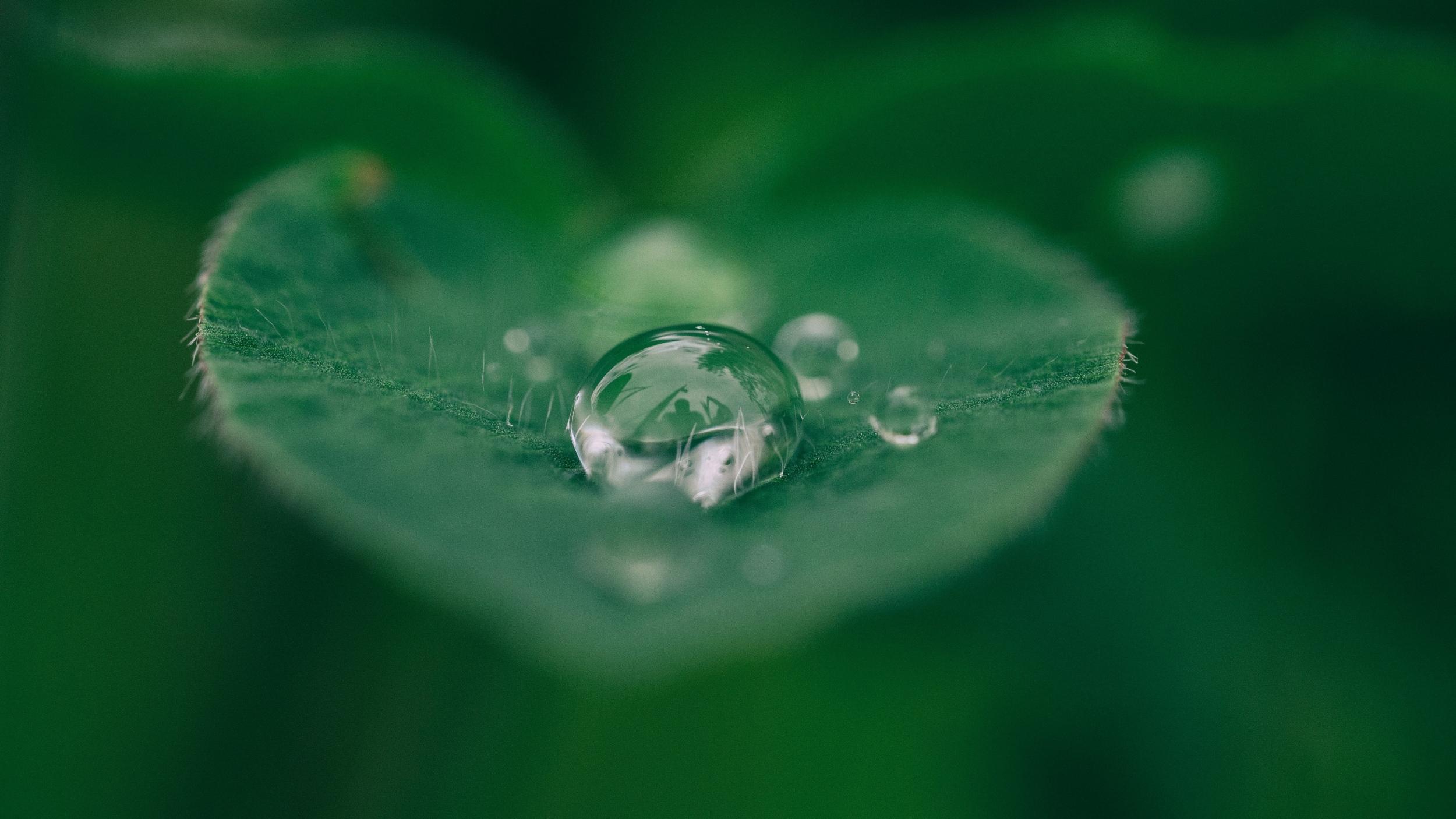 Voda nad zlato. Pripomeňte si jej dôležitosť v rámci Svetového dňa vody!