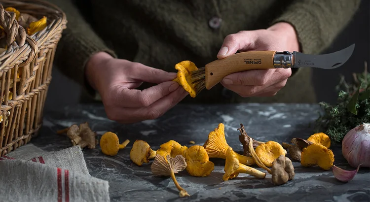 Lišky po francouzsku