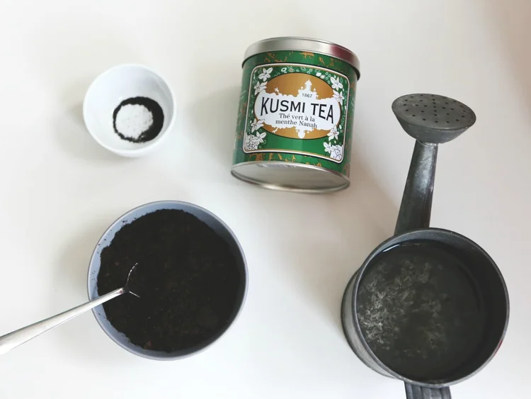 Svůj k svému. vypěstujte si mátu v plechovce od oblíbeného mátové čaje!