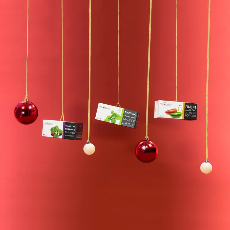 Náplně do chytrého květináče