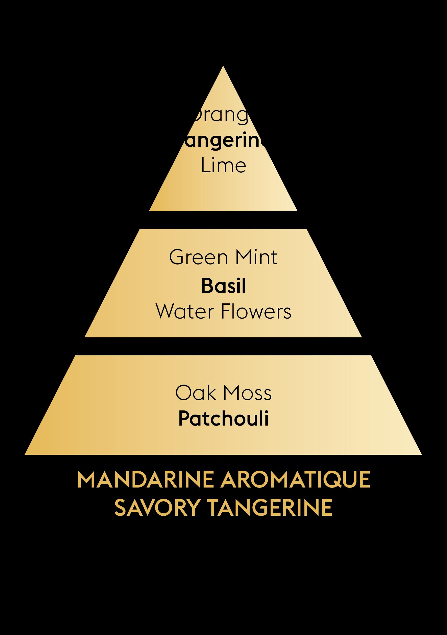 Difuzér Mini Revelry, Voňavá mandarínka, 80 ml