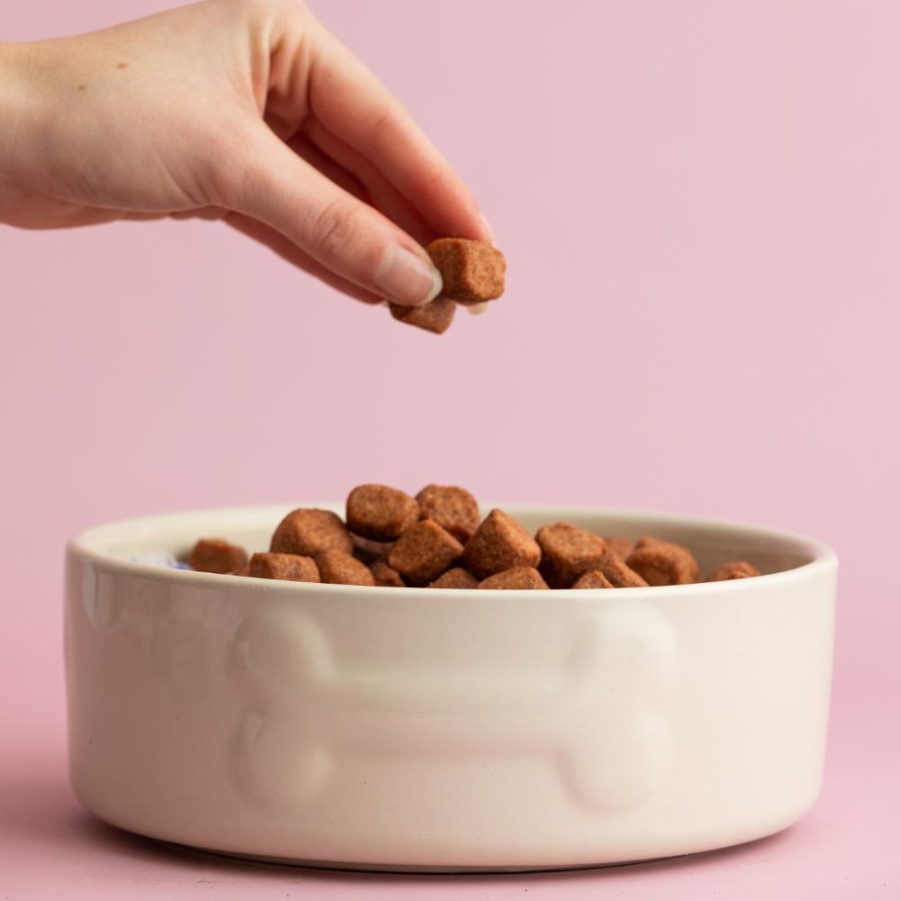 Miska pre psov Colour Mix, 1,5 l, krémovo biela