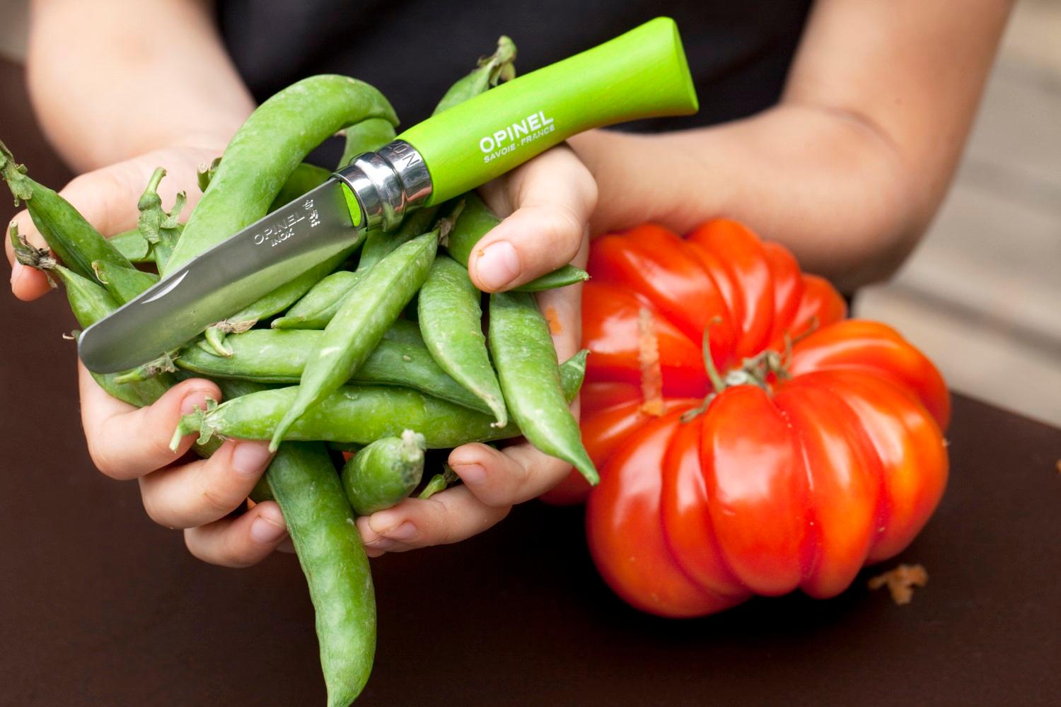 Zatvárací nôž My first VR N°07 Inox, 8 cm